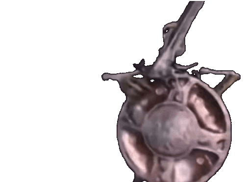 Skyrim Skeleton animation